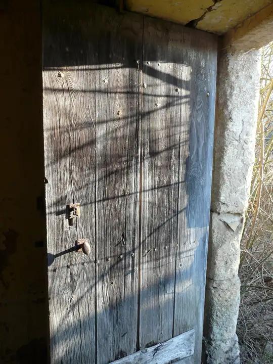 Double porte d'entrée 1/3+2/3 en bois
