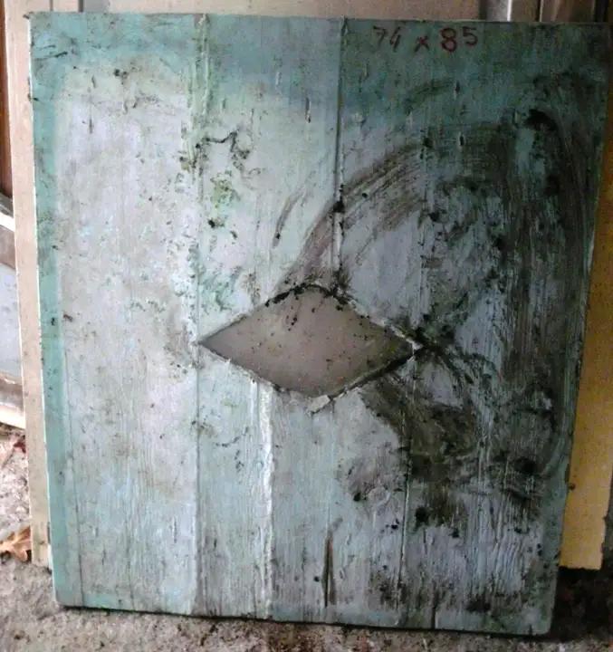 2 volets vitrés en bois
