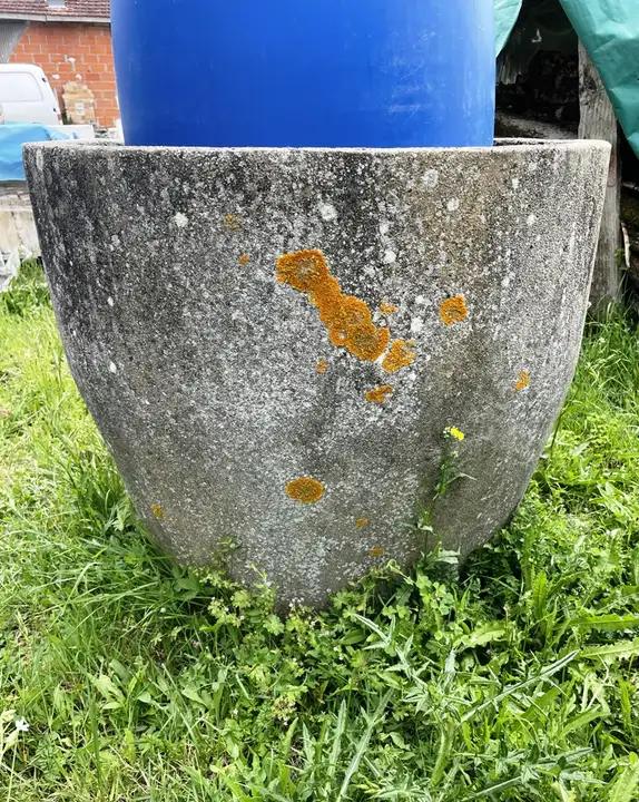 Bac circulaire en ciment armé