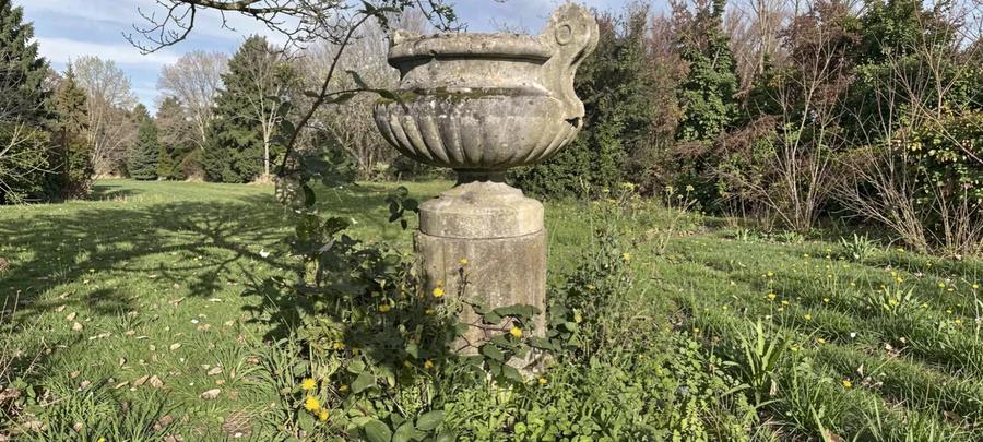 VASES MEDICIS